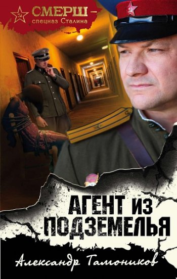 постер к Александр Тамоников. Агент из подземелья (2020)
