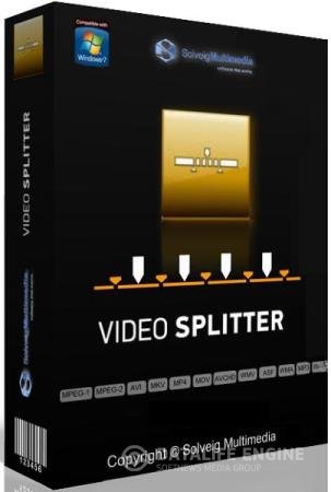 постер к SolveigMM Video Splitter 7.3.2005.8 Business Edition Final