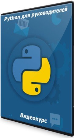 постер к Python для руководителей (2021) Видеокурс