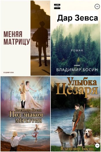 постер к Владимир Босин. Сборник произведений. 33 книги (2022-2025)