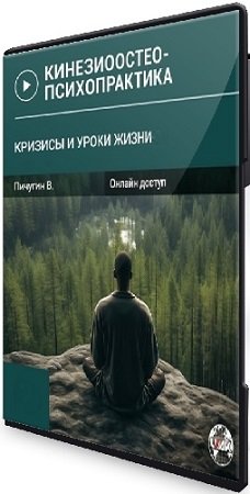 постер к Вячеслав Пичугин - Кризисы и Уроки жизни (1-2) (2024) Семинар