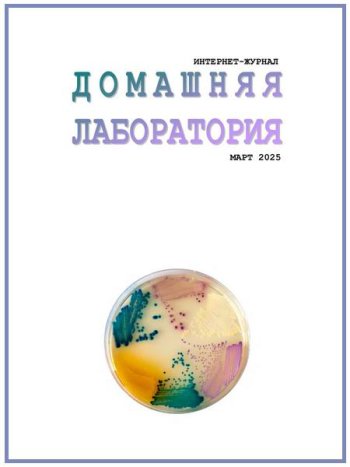 постер к Домашняя лаборатория №3 (март 2025)